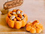 Pumpkin Spice Chocolate Almonds, 2.82 oz 12-pack (50% OFF)