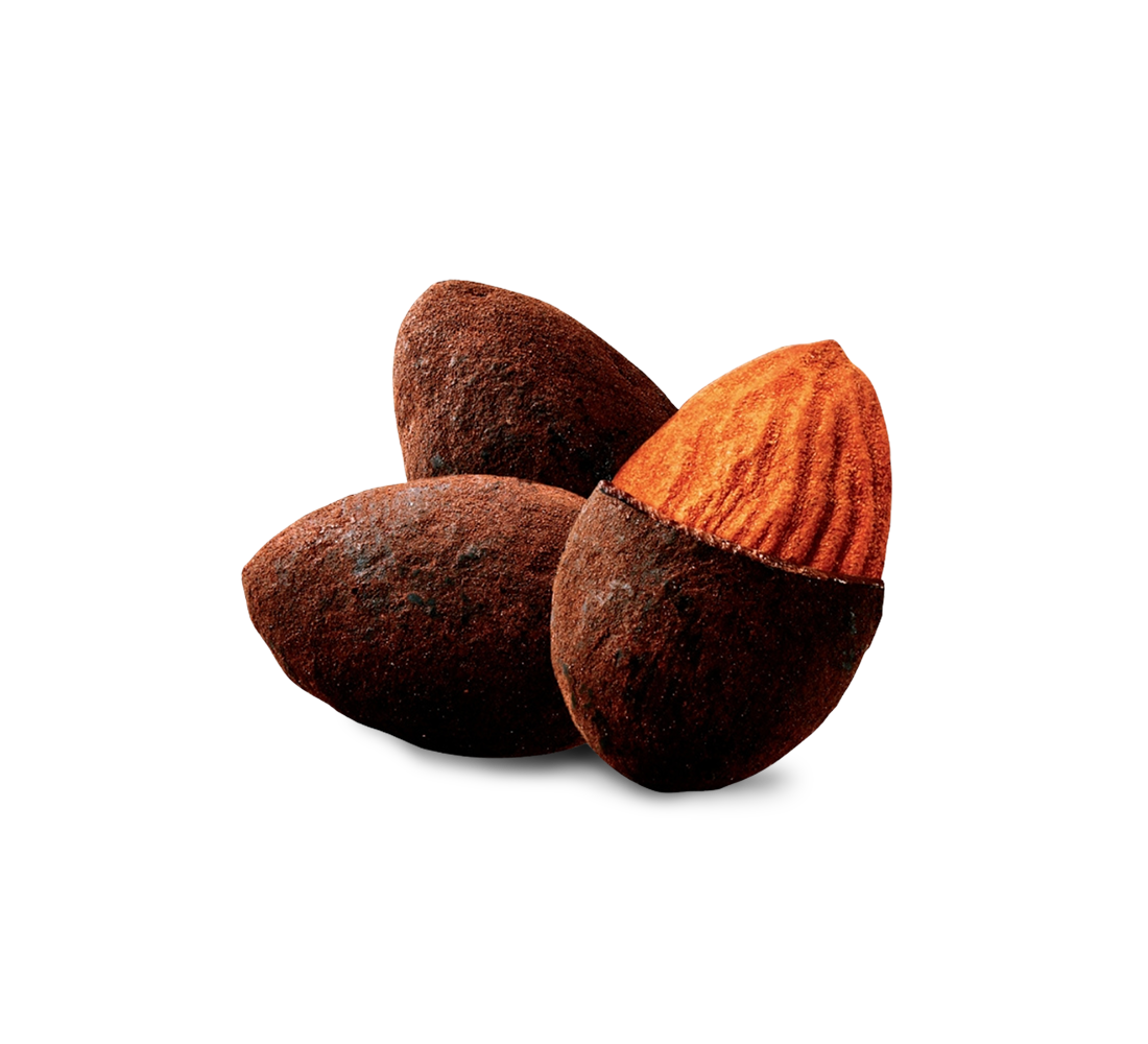 dark chocolate covered almonds